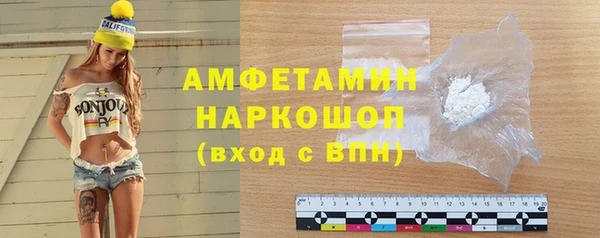 гидра Пересвет