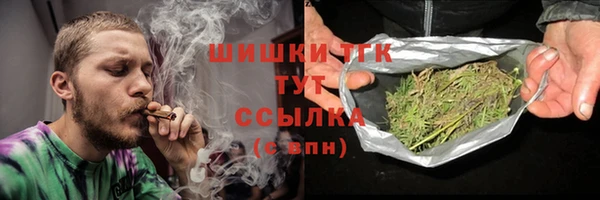 гидра Пересвет