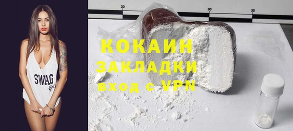 гидра Пересвет