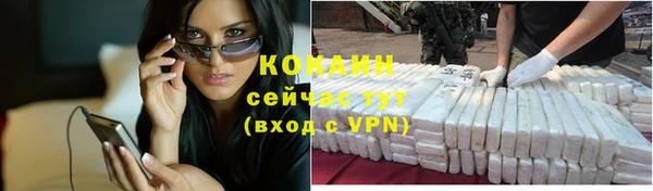 мдпв Пестово