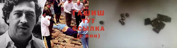 гидра Пересвет