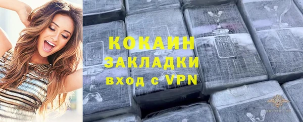 мдпв Пестово