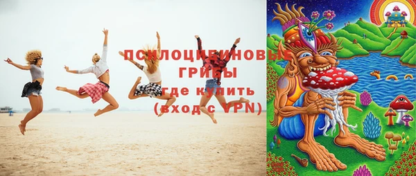 мдпв Пестово