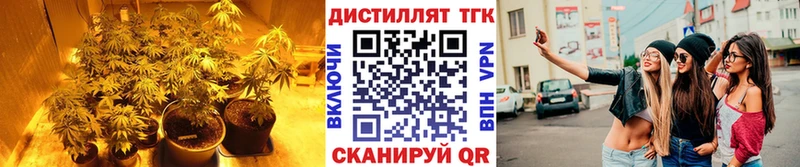 Дистиллят ТГК жижа  Тимашёвск 