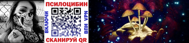 Псилоцибиновые грибы Magic Shrooms  хочу   Тимашёвск 